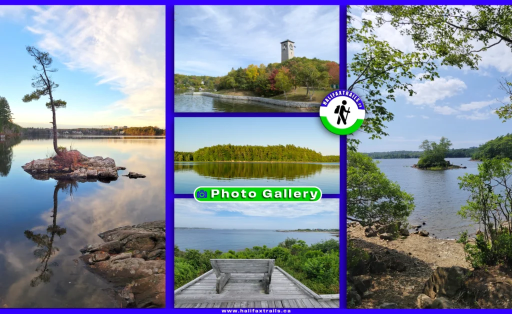 Collage of Nova Scotia trail photos featuring a lone tree in a calm lake, the stone tower at Sir Sandford Fleming Park, a wooden boardwalk, and a rocky shoreline, with a Halifax Trails hiker icon in the center.