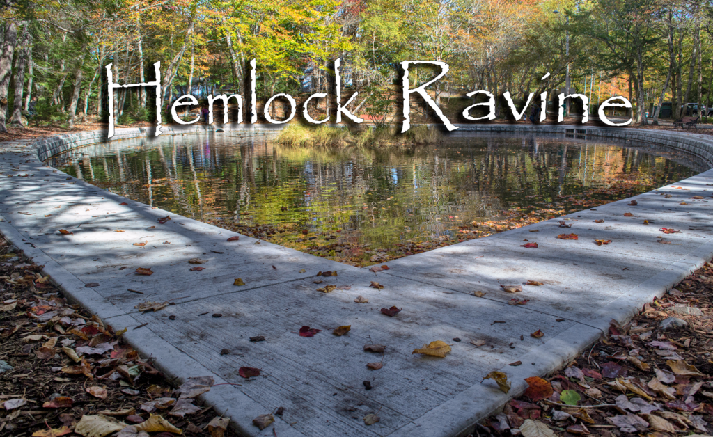 Hemlock Ravine Park Photos