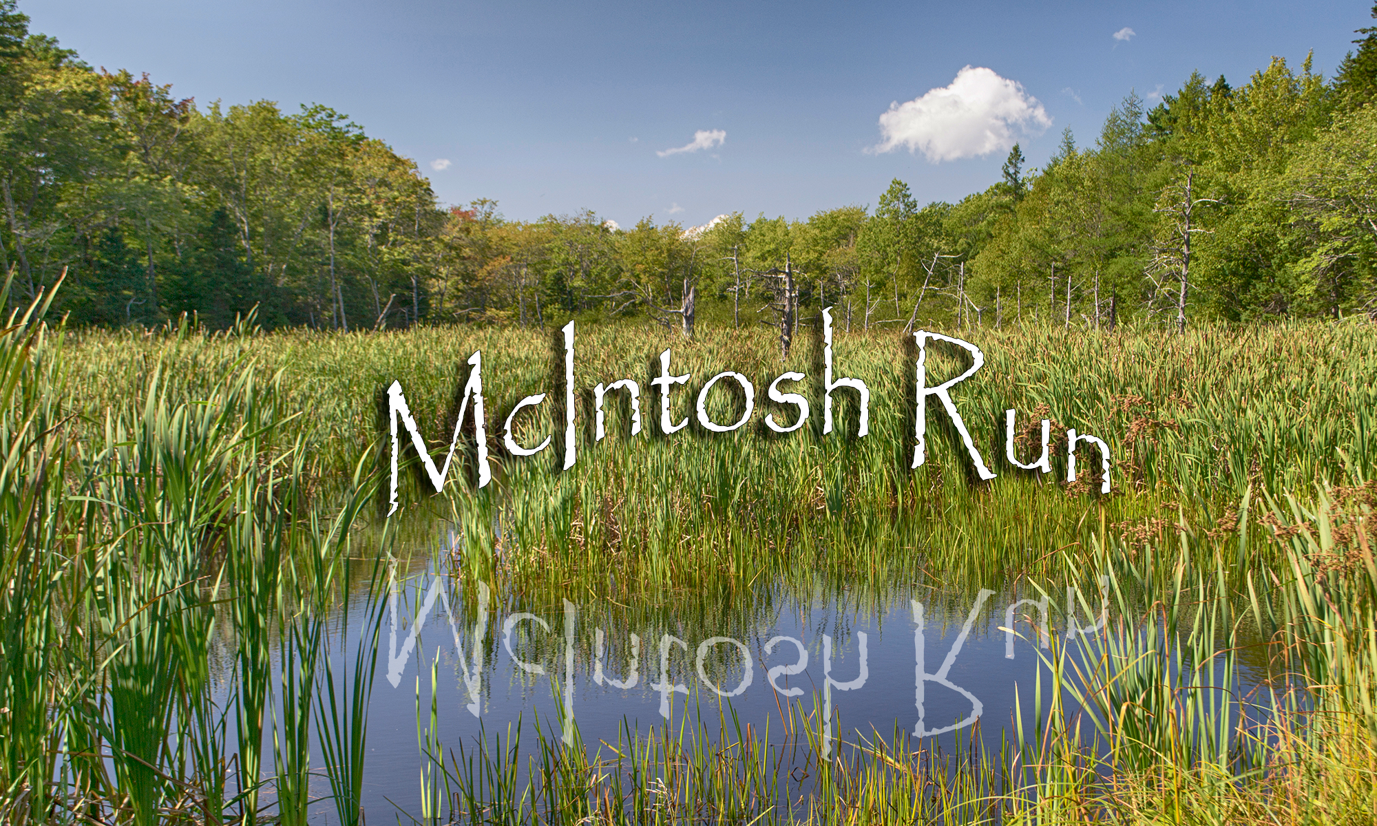 McIntosh Run Community Trail Photos