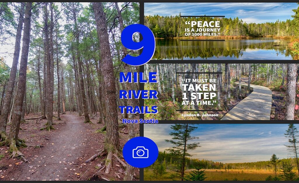 9 mile river trails photos
